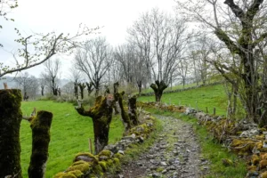 Pilgern_Aubrac_Saint_Come_d_Olt_20190512_32