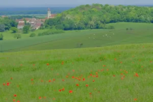 Pilgern_Frankreich_20170520_12