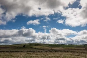 Pilgern_Lasbros_Aubrac_20190511_27