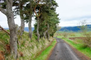 Pilgern_Le_Puy_en_Velay_Monistrol_20190508_44