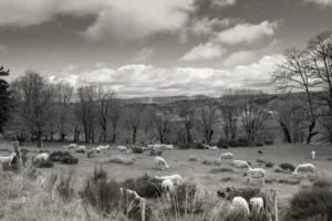 Pilgern_Monistrol_Chauzeaux_20190509_32