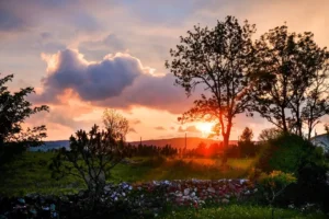 Pilgern_St_Georges_Hautes_Ville_Jouanzecq_20180517_27